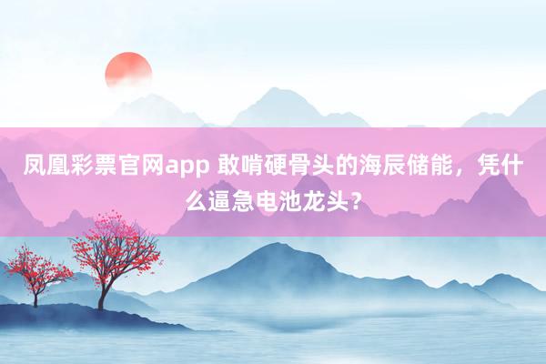 凤凰彩票官网app 敢啃硬骨头的海辰储能，凭什么逼急电池龙头？