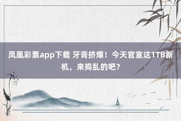 凤凰彩票app下载 牙膏挤爆！今天官宣这1TB新机，来捣乱的吧？