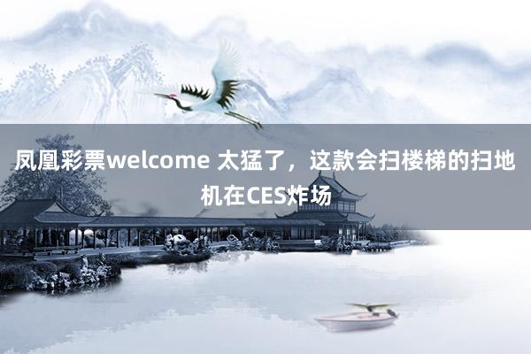 凤凰彩票welcome 太猛了,这款会扫楼梯的扫地机在CES炸场