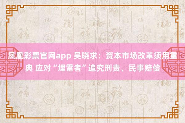 凤凰彩票官网app 吴晓求：资本市场改革须用重典 应对“埋雷者”追究刑责、民事赔偿