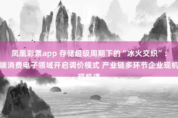 凤凰彩票app 存储超级周期下的“冰火交织”：终端消费电子领域开启调价模式 产业链多环节企业现机遇