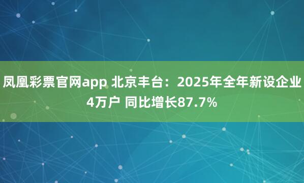 凤凰彩票官网app 北京丰台：2025年全年新设企业4万户 同比增长87.7%