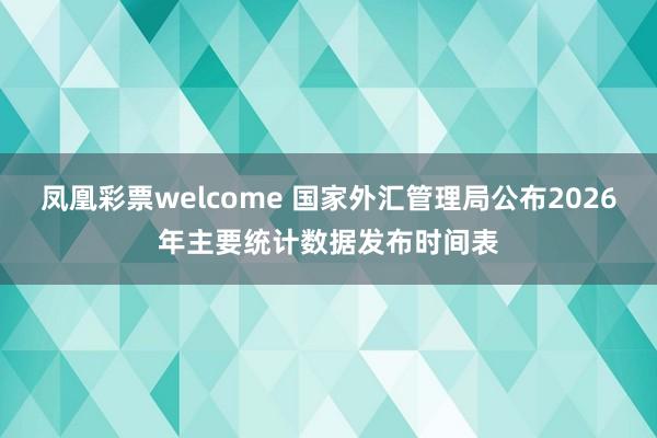 凤凰彩票welcome 国家外汇管理局公布2026年主要统计数据发布时间表