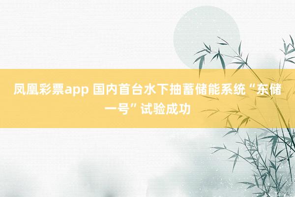 凤凰彩票app 国内首台水下抽蓄储能系统“东储一号”试验成功