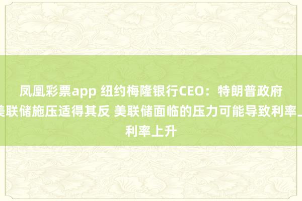 凤凰彩票app 纽约梅隆银行CEO：特朗普政府对美联储施压适得其反 美联储面临的压力可能导致利率上升