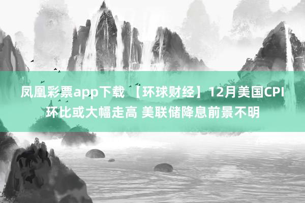 凤凰彩票app下载 【环球财经】12月美国CPI环比或大幅走高 美联储降息前景不明