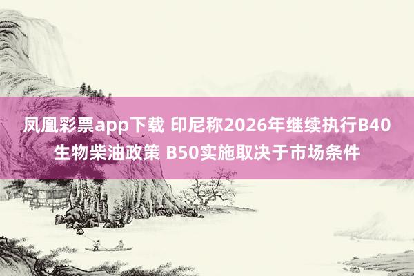 凤凰彩票app下载 印尼称2026年继续执行B40生物柴油政策 B50实施取决于市场条件