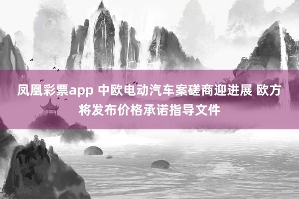 凤凰彩票app 中欧电动汽车案磋商迎进展 欧方将发布价格承诺指导文件