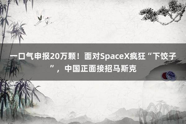 一口气申报20万颗！面对SpaceX疯狂“下饺子”，中国正面接招马斯克