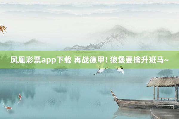 凤凰彩票app下载 再战德甲! 狼堡要擒升班马~