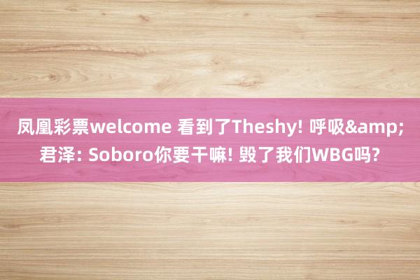 凤凰彩票welcome 看到了Theshy! 呼吸&君泽: Soboro你要干嘛! 毁了我们WBG吗?