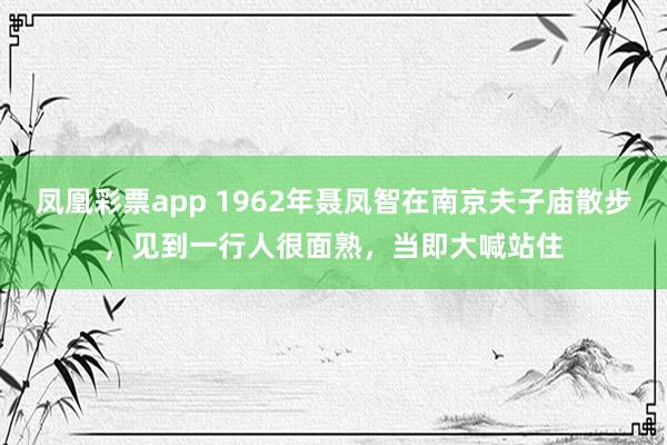 凤凰彩票app 1962年聂凤智在南京夫子庙散步,见到一行人很面熟,当即大喊站住