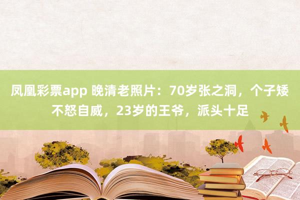 凤凰彩票app 晚清老照片:70岁张之洞,个子矮不怒自威,23岁的王爷,派头十足