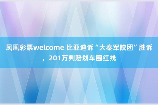 凤凰彩票welcome 比亚迪诉“大秦军陕团”胜诉，201万判赔划车圈红线