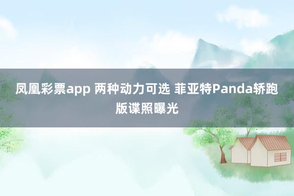 凤凰彩票app 两种动力可选 菲亚特Panda轿跑版谍照曝光