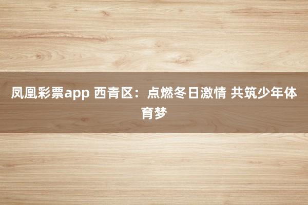 凤凰彩票app 西青区：点燃冬日激情 共筑少年体育梦