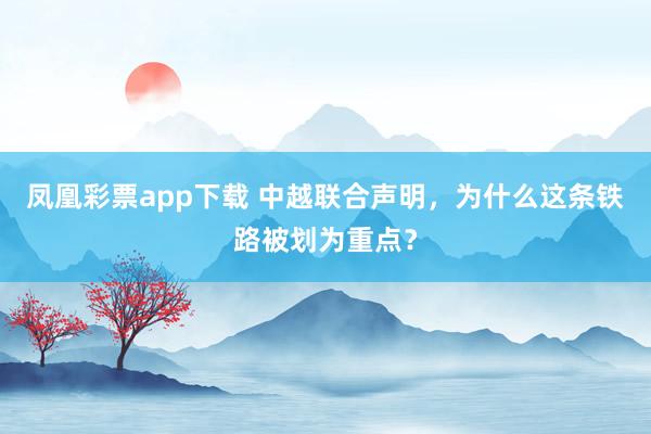 凤凰彩票app下载 中越联合声明，为什么这条铁路被划为重点？