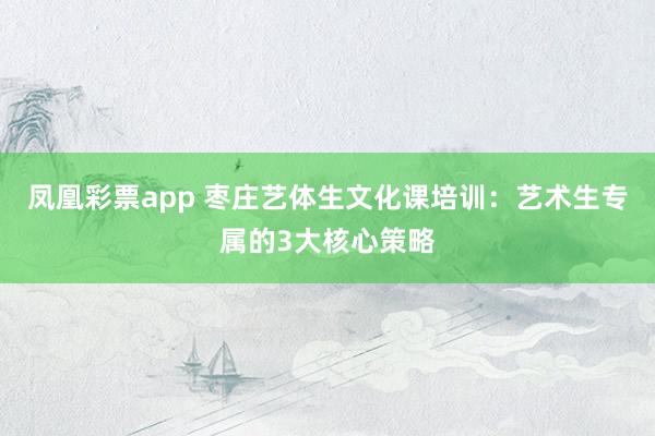 凤凰彩票app 枣庄艺体生文化课培训：艺术生专属的3大核心策略