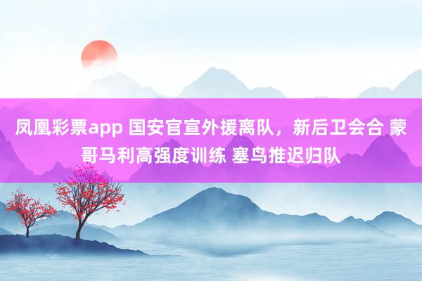 凤凰彩票app 国安官宣外援离队，新后卫会合 蒙哥马利高强度训练 塞鸟推迟归队