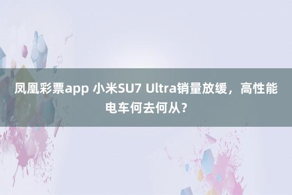 凤凰彩票app 小米SU7 Ultra销量放缓，高性能电车何去何从？