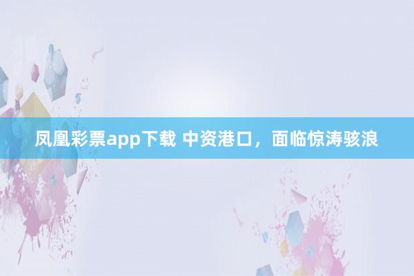 凤凰彩票app下载 中资港口，面临惊涛骇浪