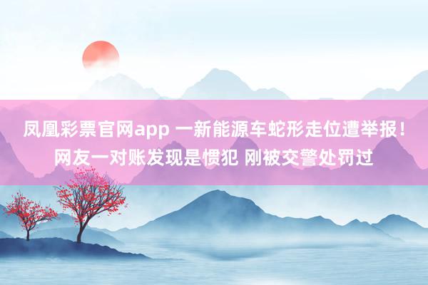 凤凰彩票官网app 一新能源车蛇形走位遭举报！网友一对账发现是惯犯 刚被交警处罚过