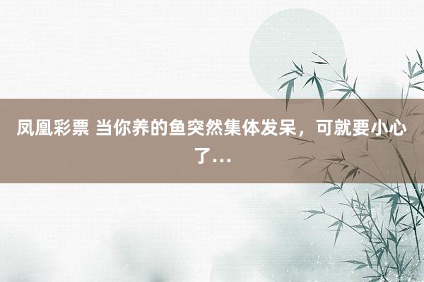 凤凰彩票 当你养的鱼突然集体发呆，可就要小心了…