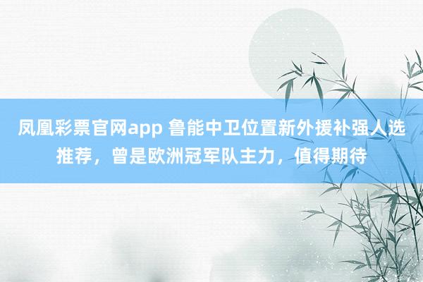 凤凰彩票官网app 鲁能中卫位置新外援补强人选推荐，曾是欧洲冠军队主力，值得期待