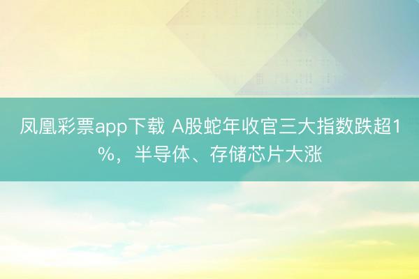 凤凰彩票app下载 A股蛇年收官三大指数跌超1%，半导体、存储芯片大涨