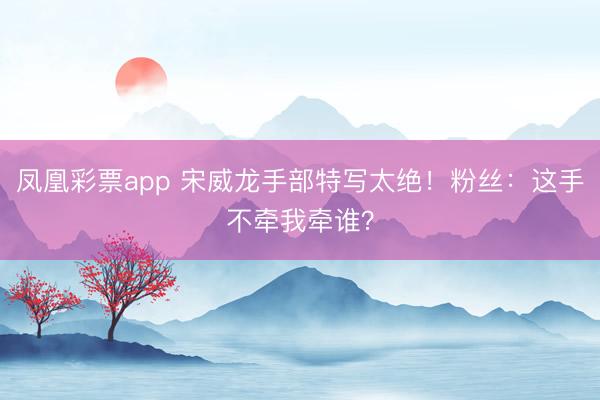 凤凰彩票app 宋威龙手部特写太绝!粉丝:这手不牵我牵谁?