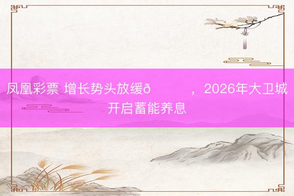 凤凰彩票 增长势头放缓📈,2026年大卫城开启蓄能养息