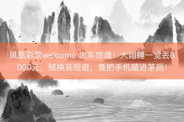 凤凰彩票welcome 火车惊魂！大姐睡一觉丢8000元，贼换装规避，竟把手机藏进茅厕！