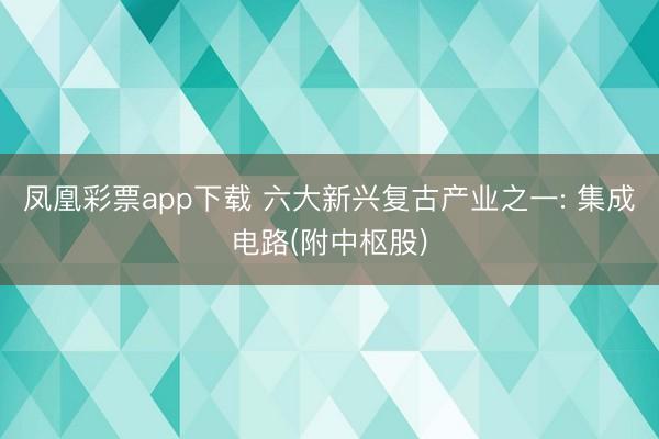 凤凰彩票app下载 六大新兴复古产业之一: 集成电路(附中枢股)